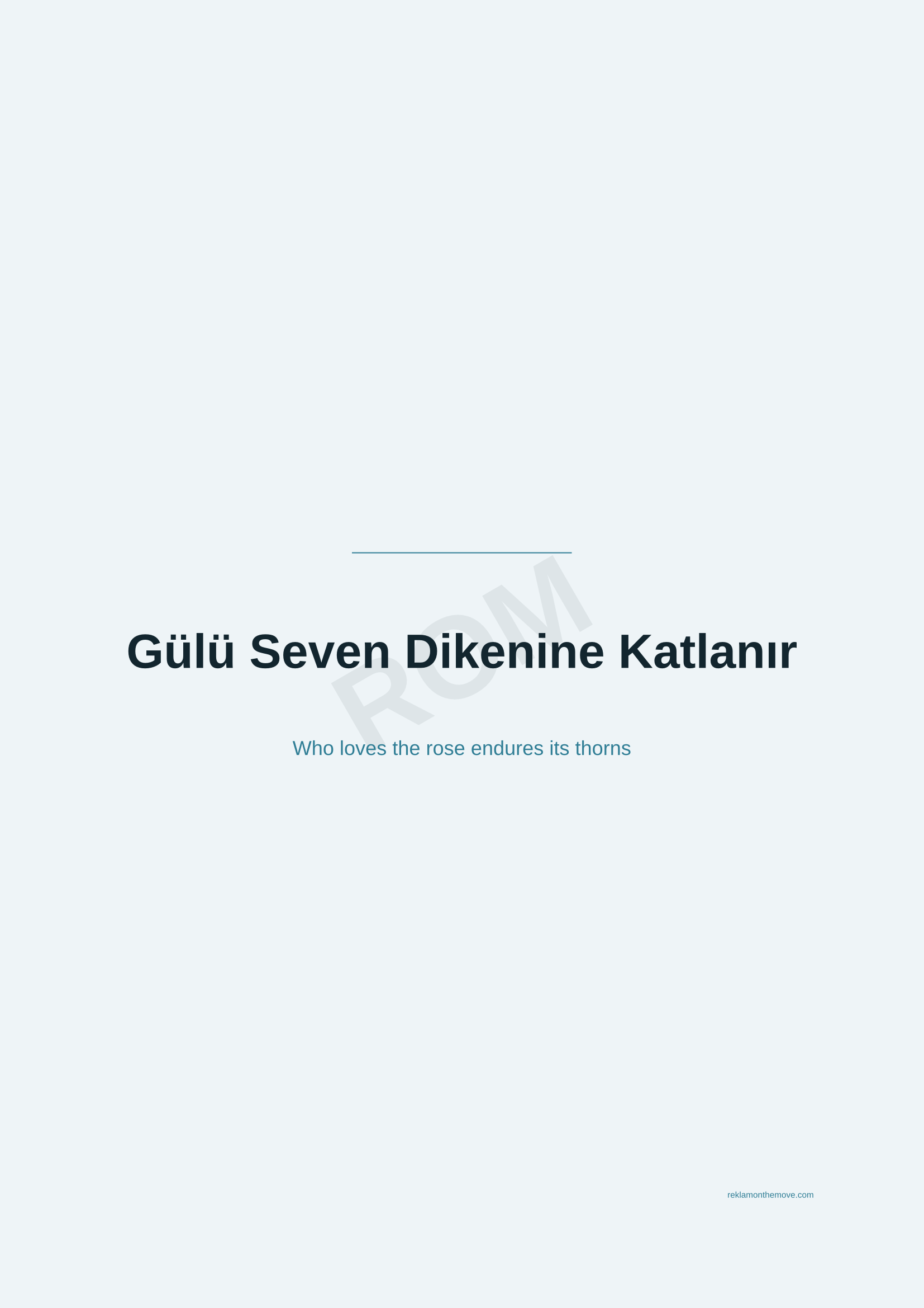 Gülü Seven Dikenine Katlanır · Okyanus — ROM dijital ürün önizlemesi (filigranlı)