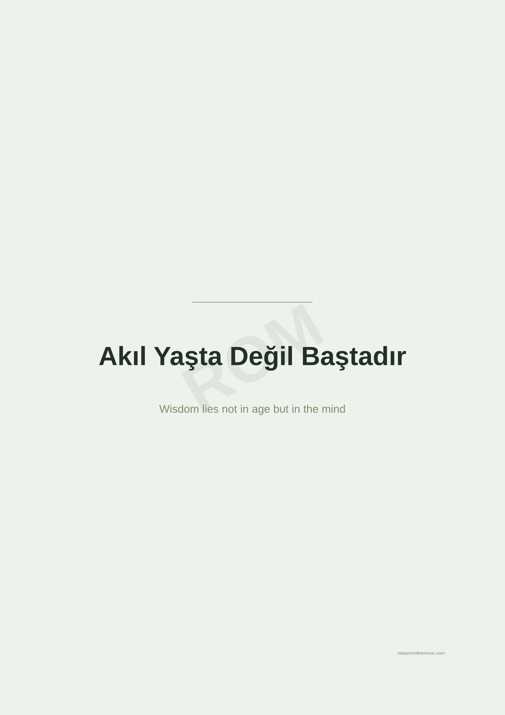 Akıl Yaşta Değil Baştadır · Adaçayı — ROM dijital ürün önizlemesi (filigranlı)