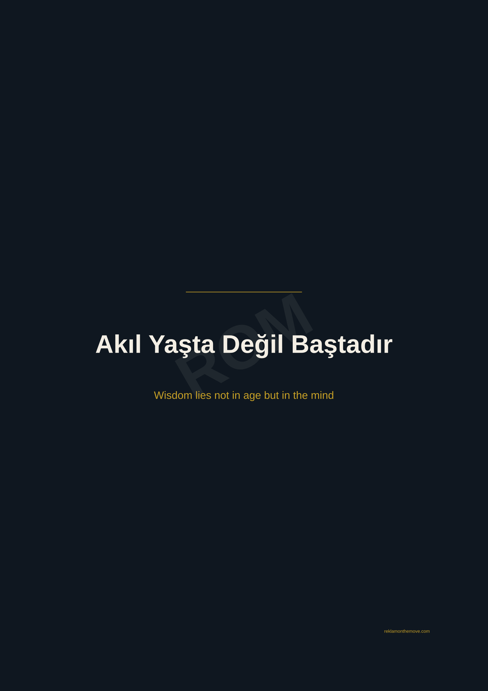Akıl Yaşta Değil Baştadır · Gece — ROM dijital ürün önizlemesi (filigranlı)