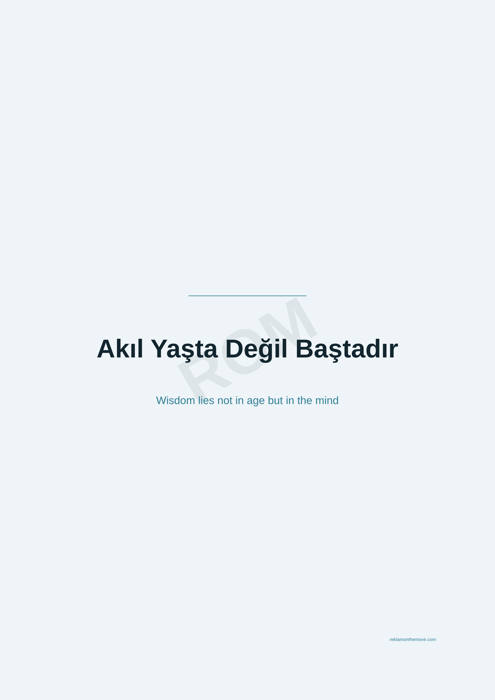 Akıl Yaşta Değil Baştadır · Okyanus — ROM dijital ürün önizlemesi (filigranlı)