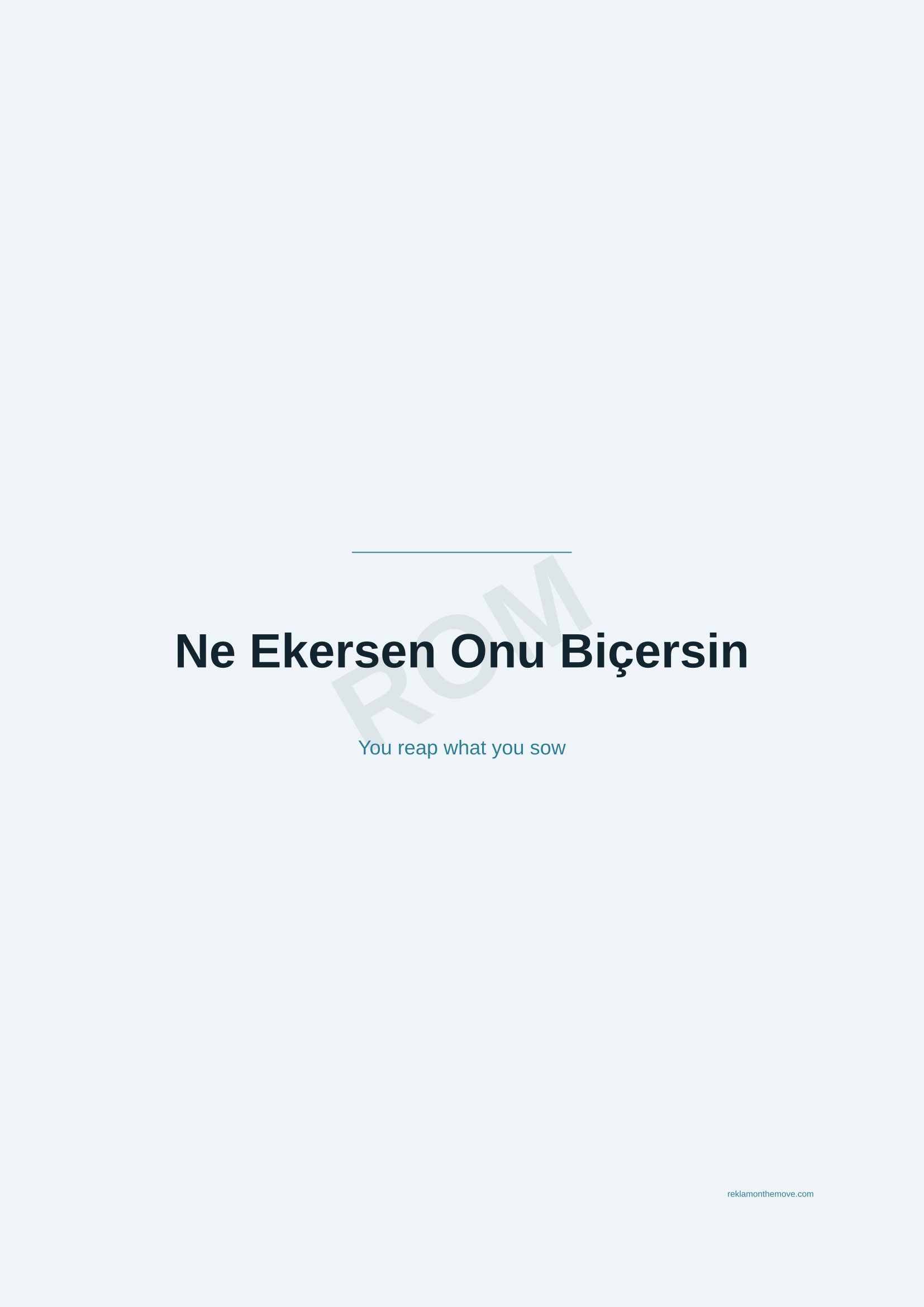 Ne Ekersen Onu Biçersin · Okyanus — ROM dijital ürün önizlemesi (filigranlı)