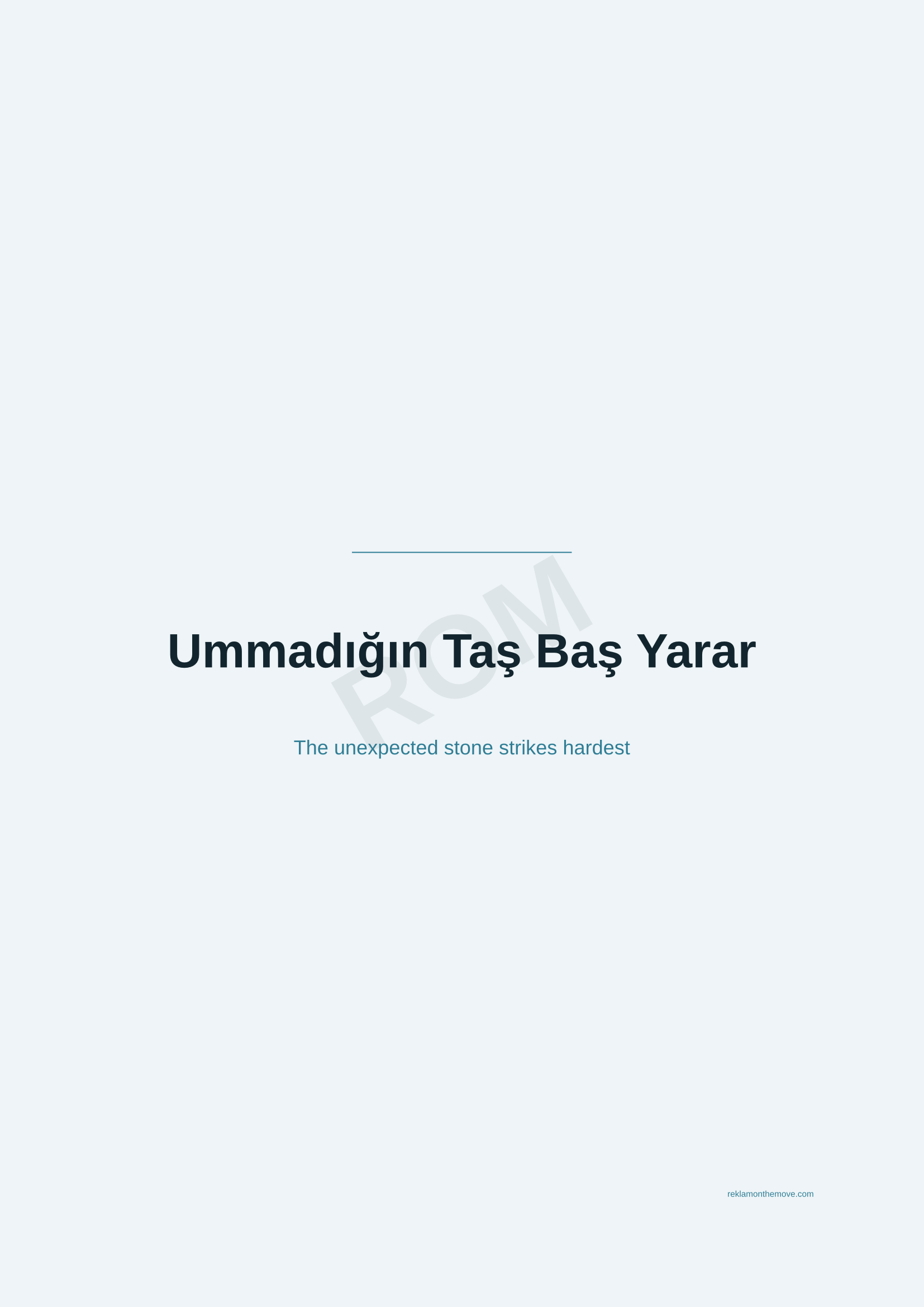 Ummadığın Taş Baş Yarar · Okyanus — ROM dijital ürün önizlemesi (filigranlı)