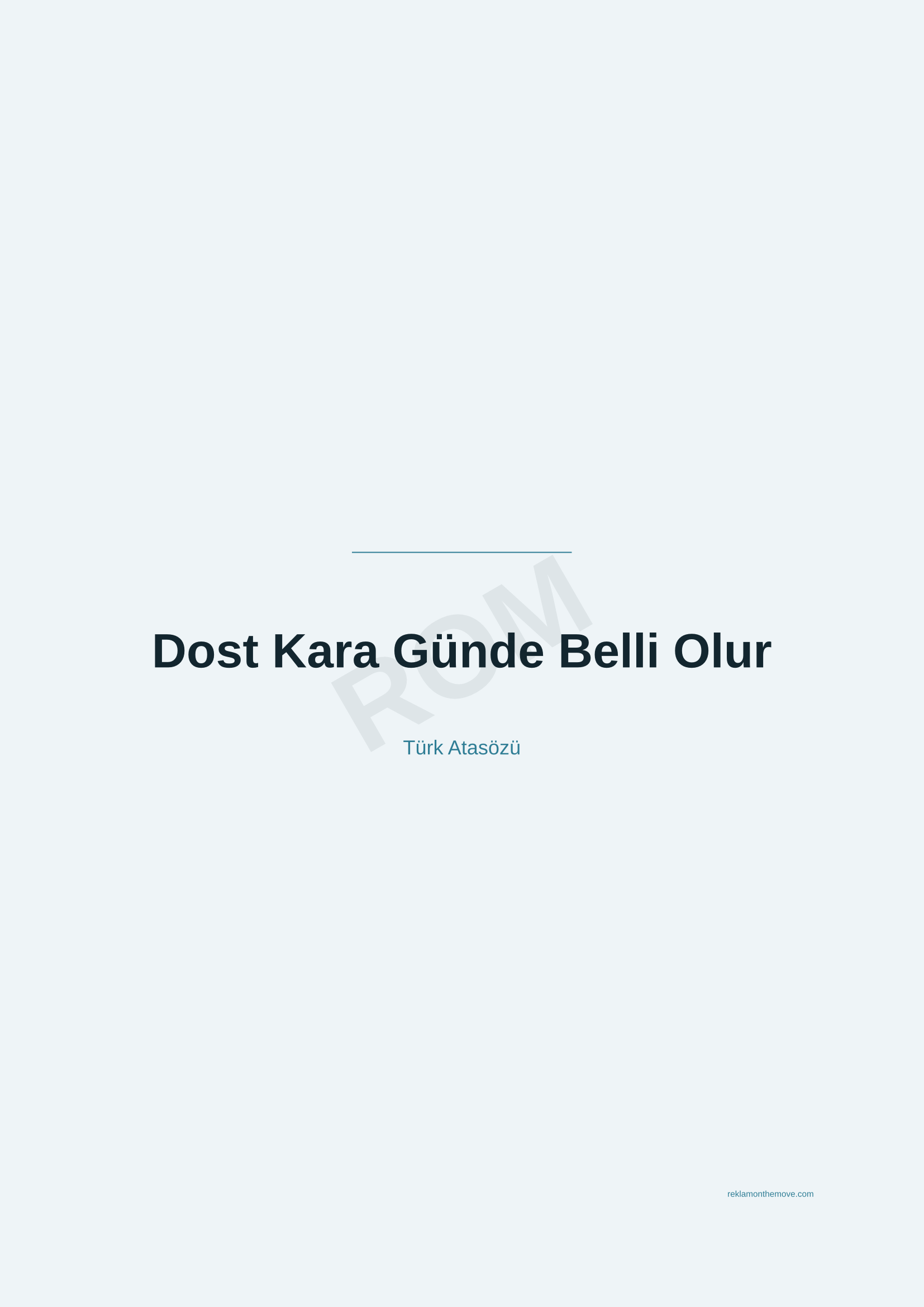 Dost Kara Günde Belli Olur · Okyanus · A2 — ROM dijital ürün önizlemesi (filigranlı)