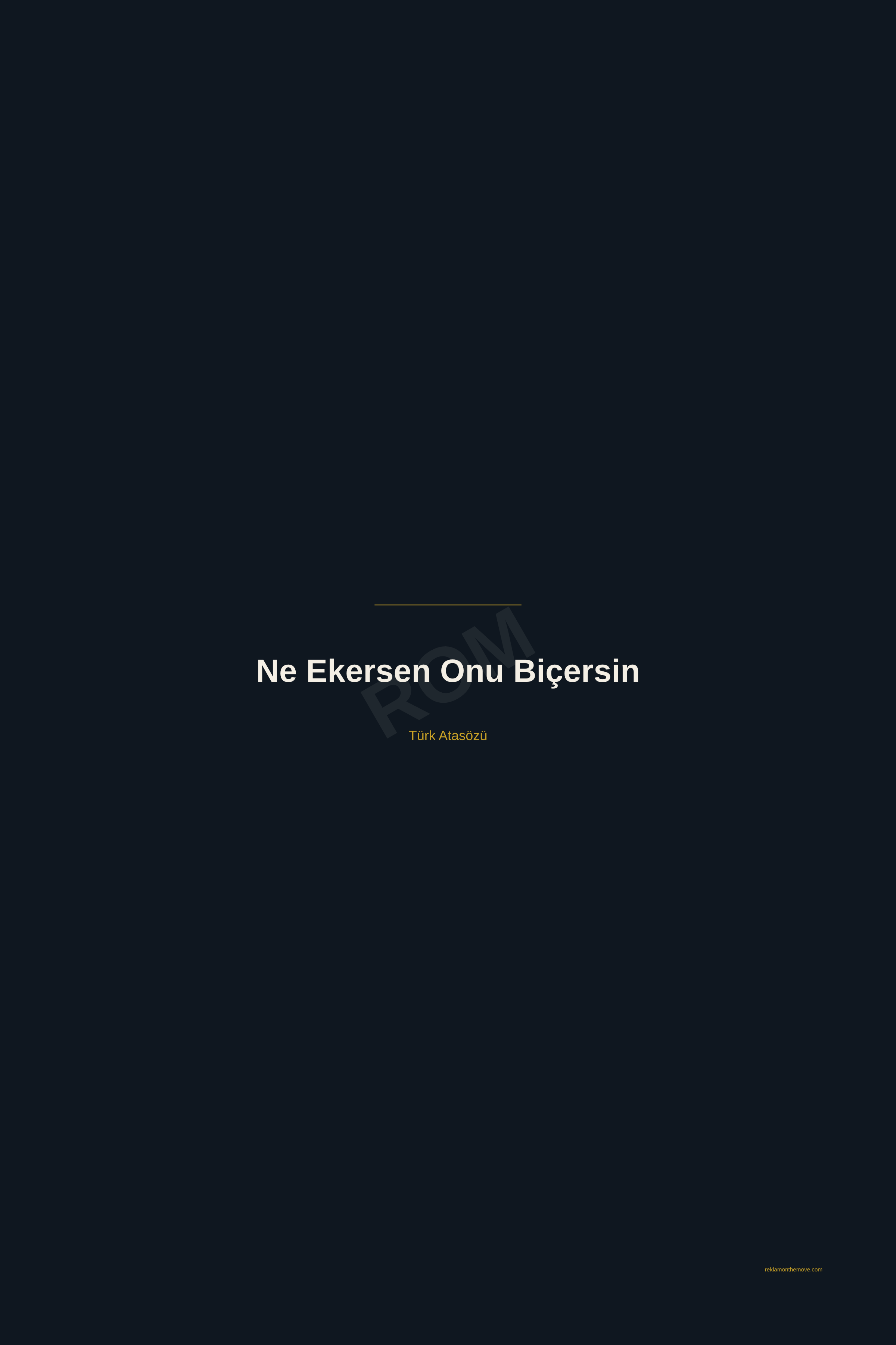 Ne Ekersen Onu Biçersin · Gece · 24×36" — ROM dijital ürün önizlemesi (filigranlı)