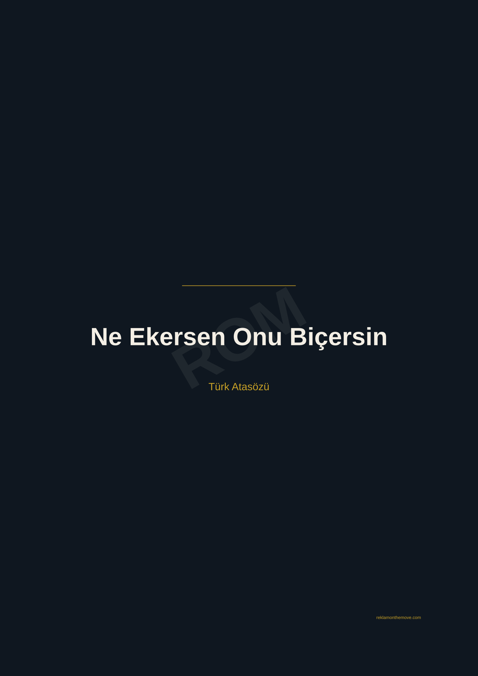 Ne Ekersen Onu Biçersin · Gece · A2 — ROM dijital ürün önizlemesi (filigranlı)