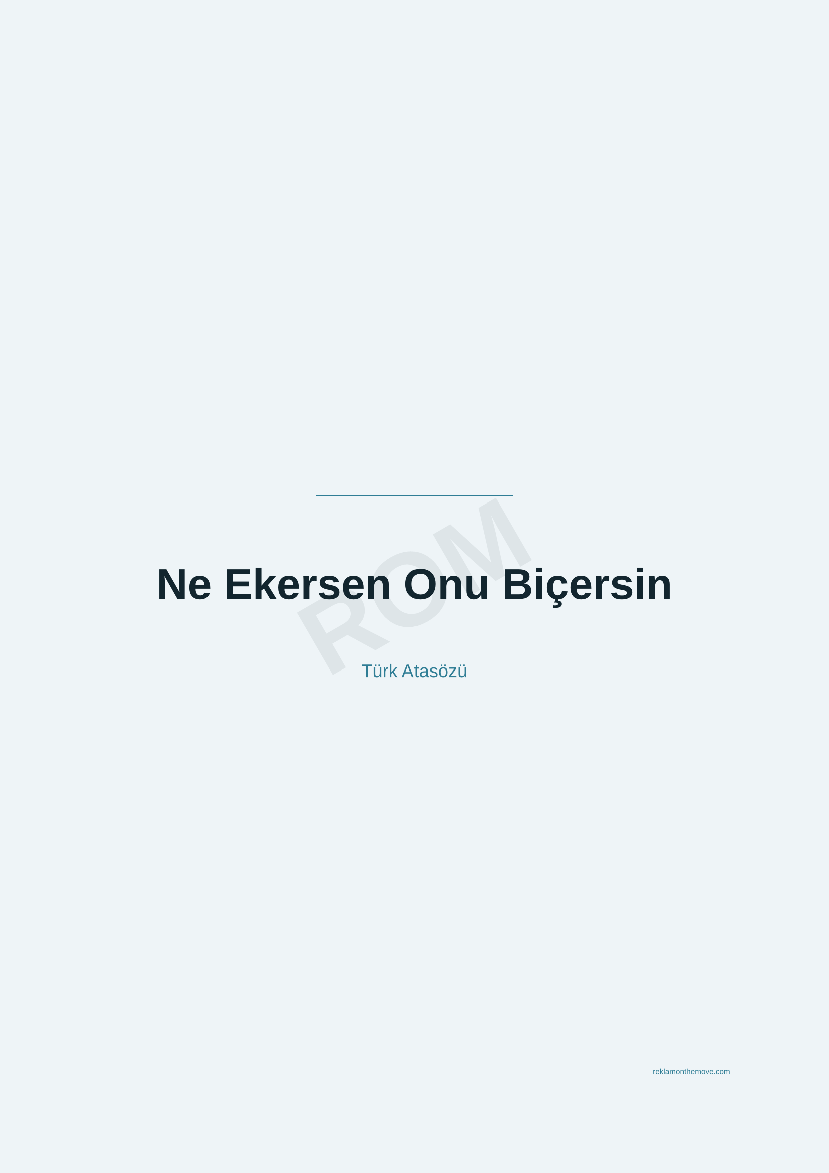 Ne Ekersen Onu Biçersin · Okyanus — ROM dijital ürün önizlemesi (filigranlı)