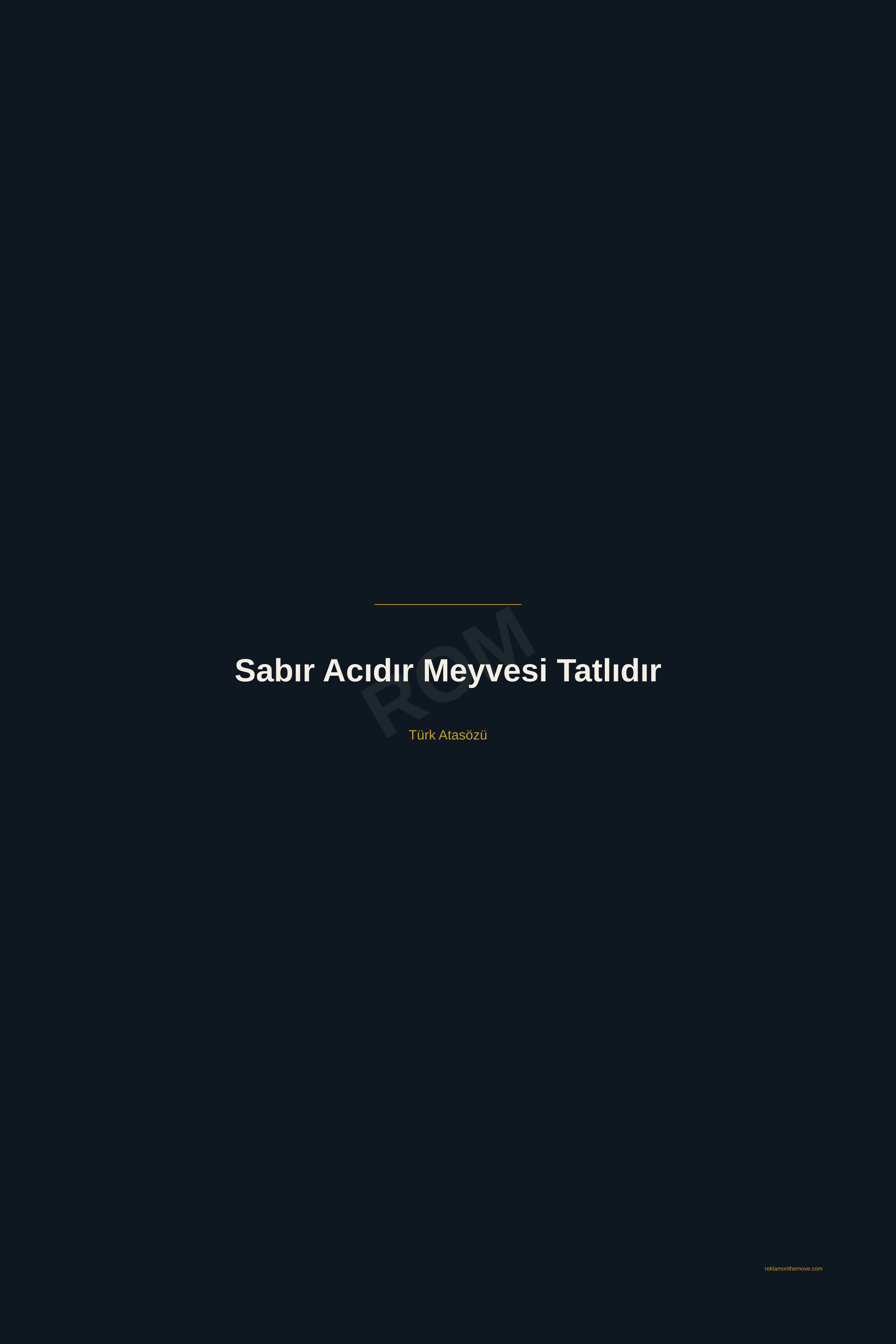 Sabır Acıdır Meyvesi Tatlıdır · Gece · 24×36" — ROM dijital ürün önizlemesi (filigranlı)