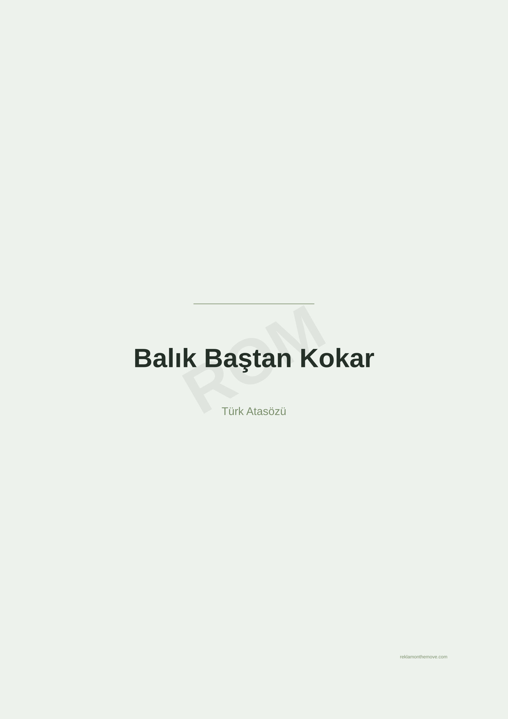 Balık Baştan Kokar · Adaçayı — ROM dijital ürün önizlemesi (filigranlı)