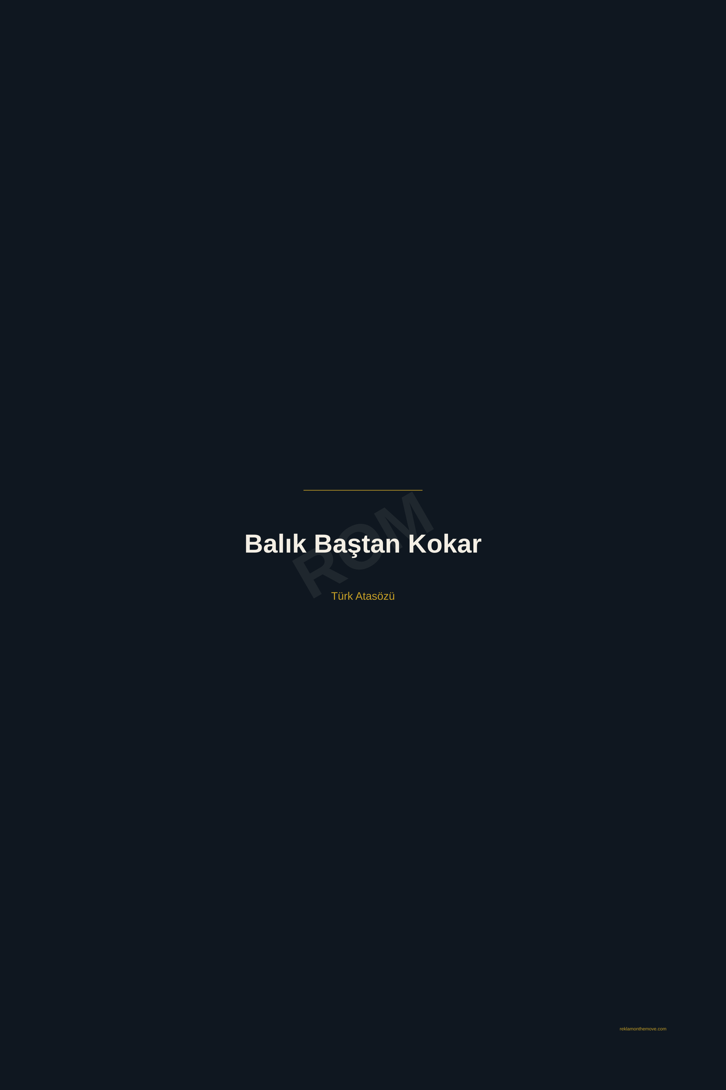 Balık Baştan Kokar · Gece · 24×36" — ROM dijital ürün önizlemesi (filigranlı)