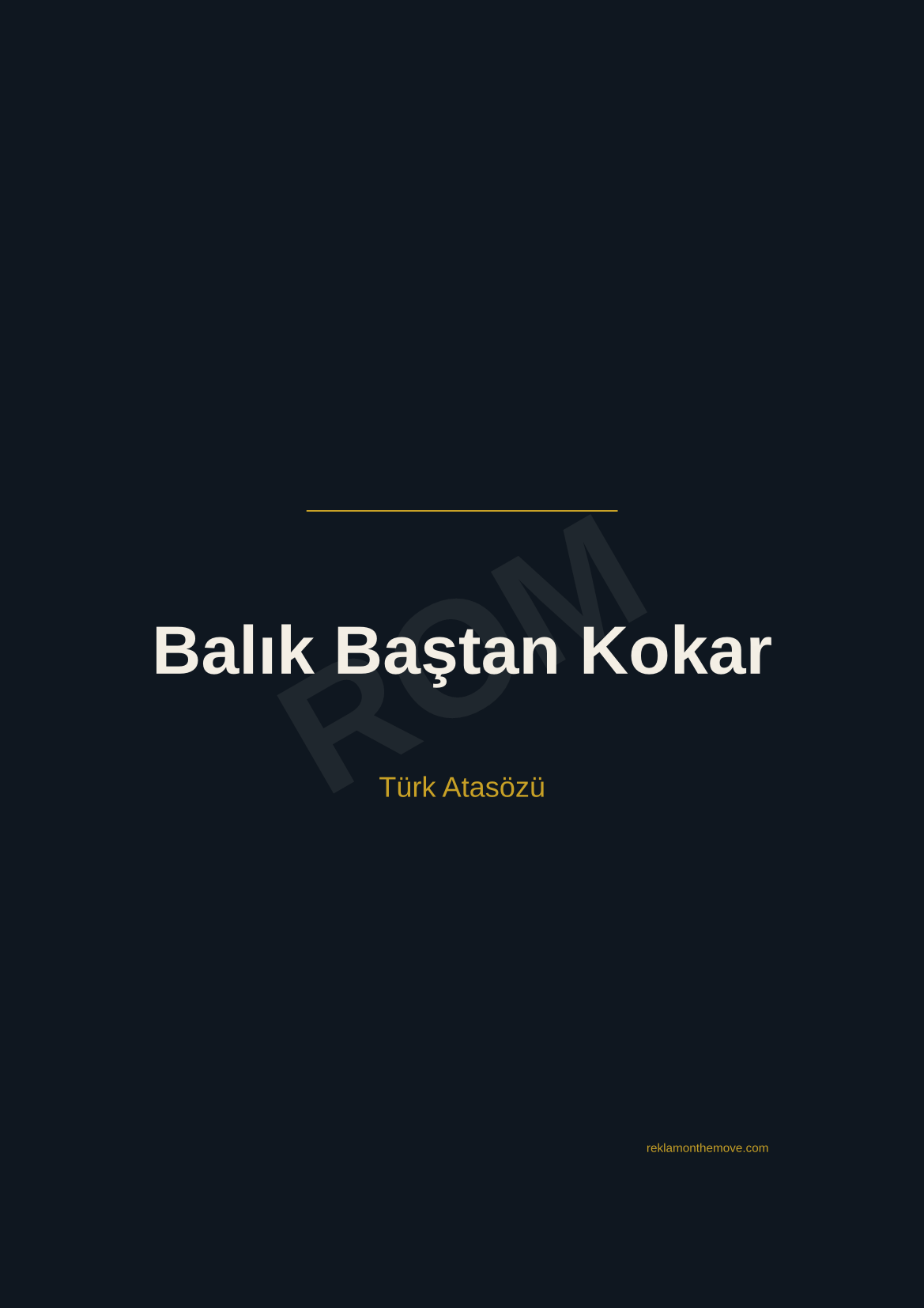 Balık Baştan Kokar · Gece · A3 — ROM dijital ürün önizlemesi (filigranlı)
