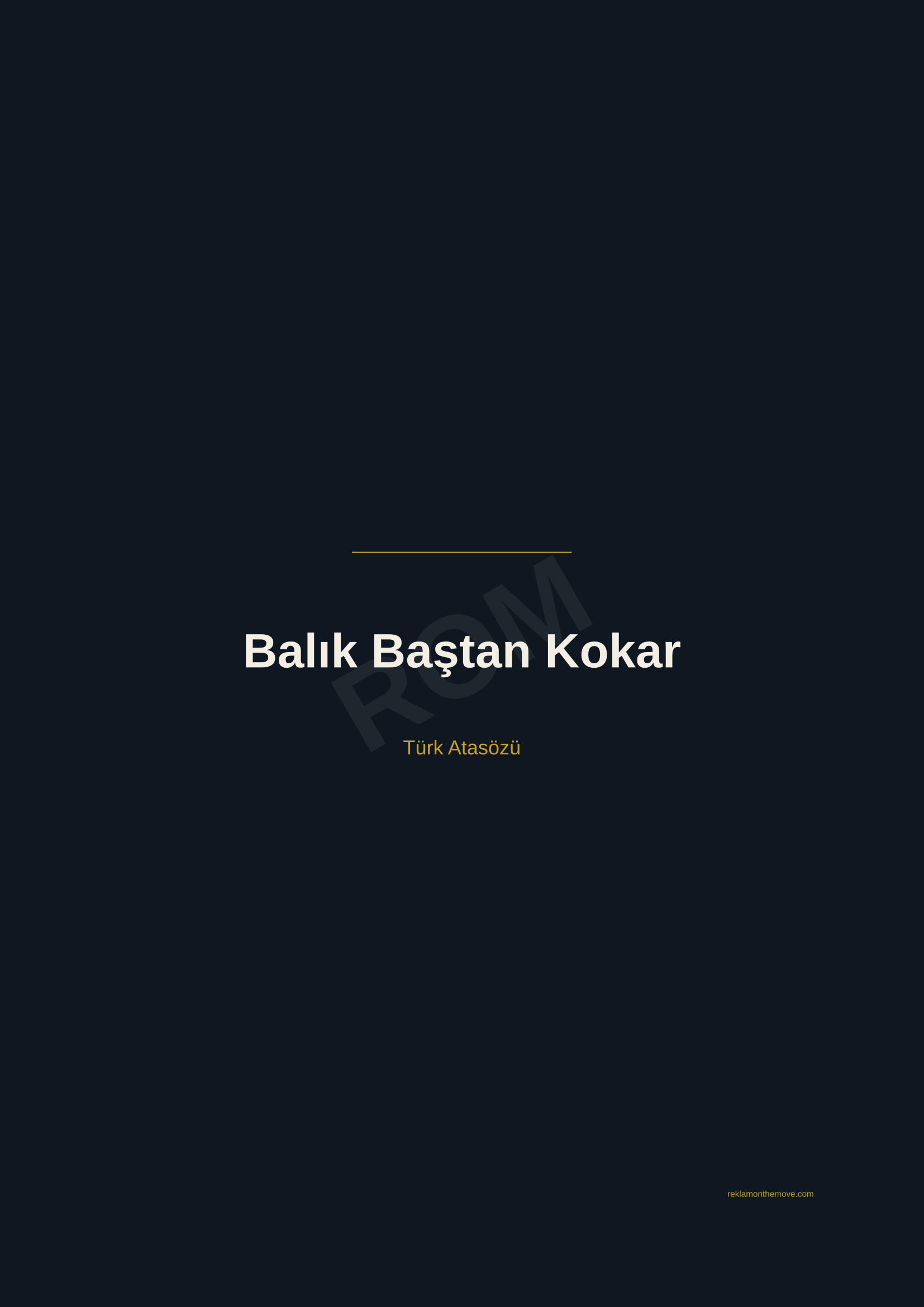 Balık Baştan Kokar · Gece — ROM dijital ürün önizlemesi (filigranlı)