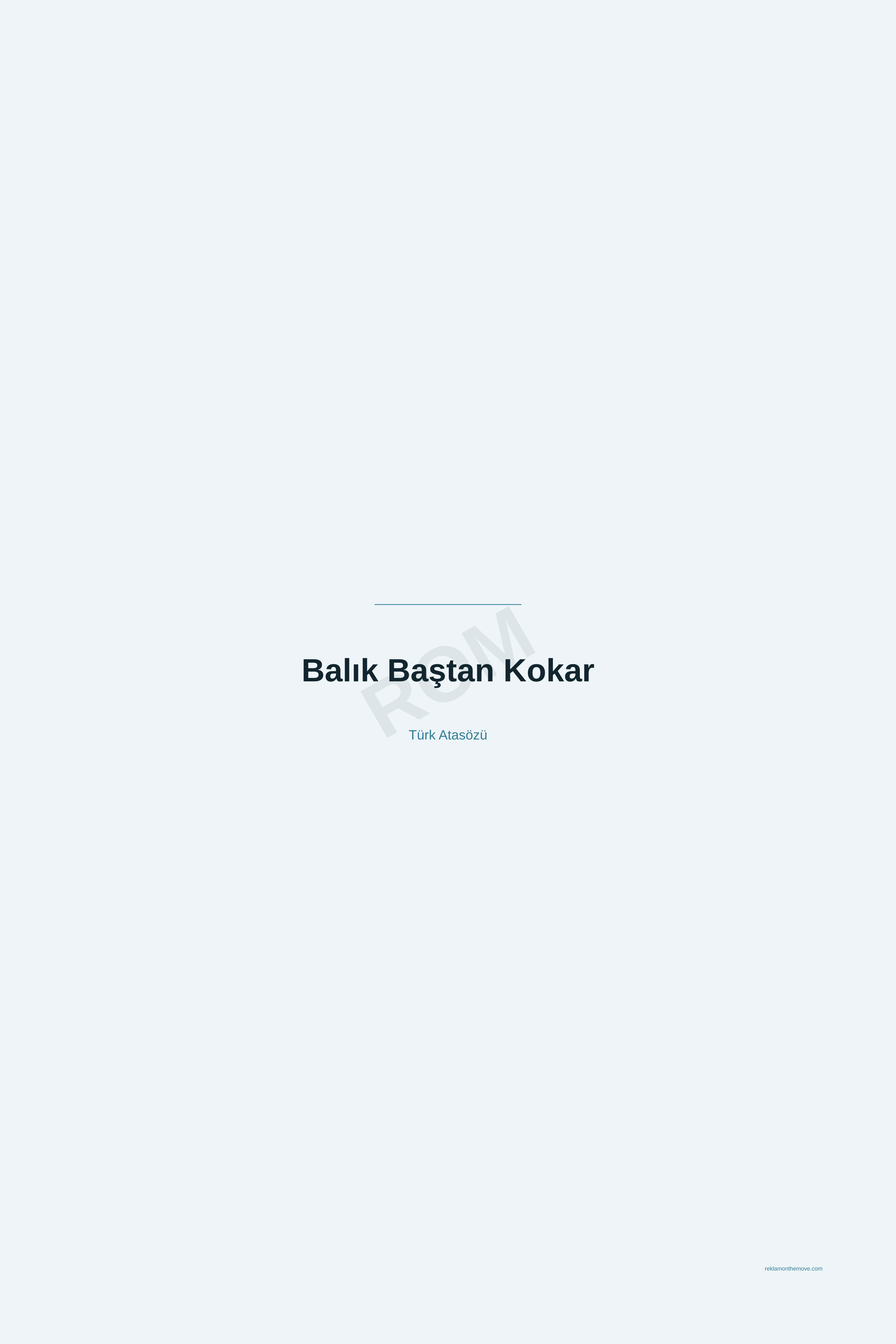 Balık Baştan Kokar · Okyanus · 24×36" — ROM dijital ürün önizlemesi (filigranlı)