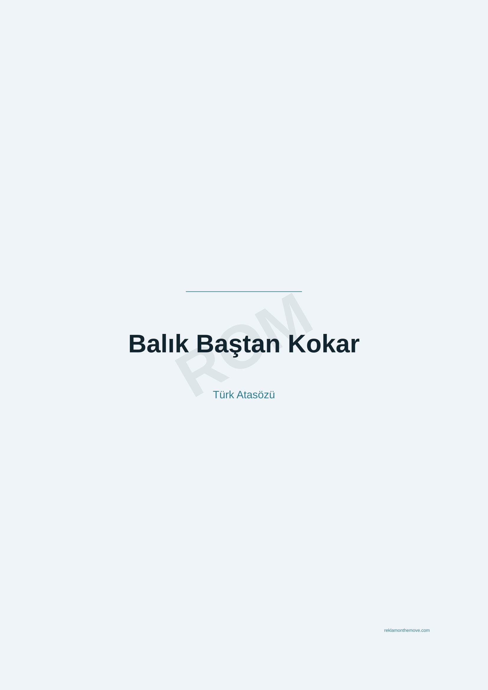 Balık Baştan Kokar · Okyanus — ROM dijital ürün önizlemesi (filigranlı)