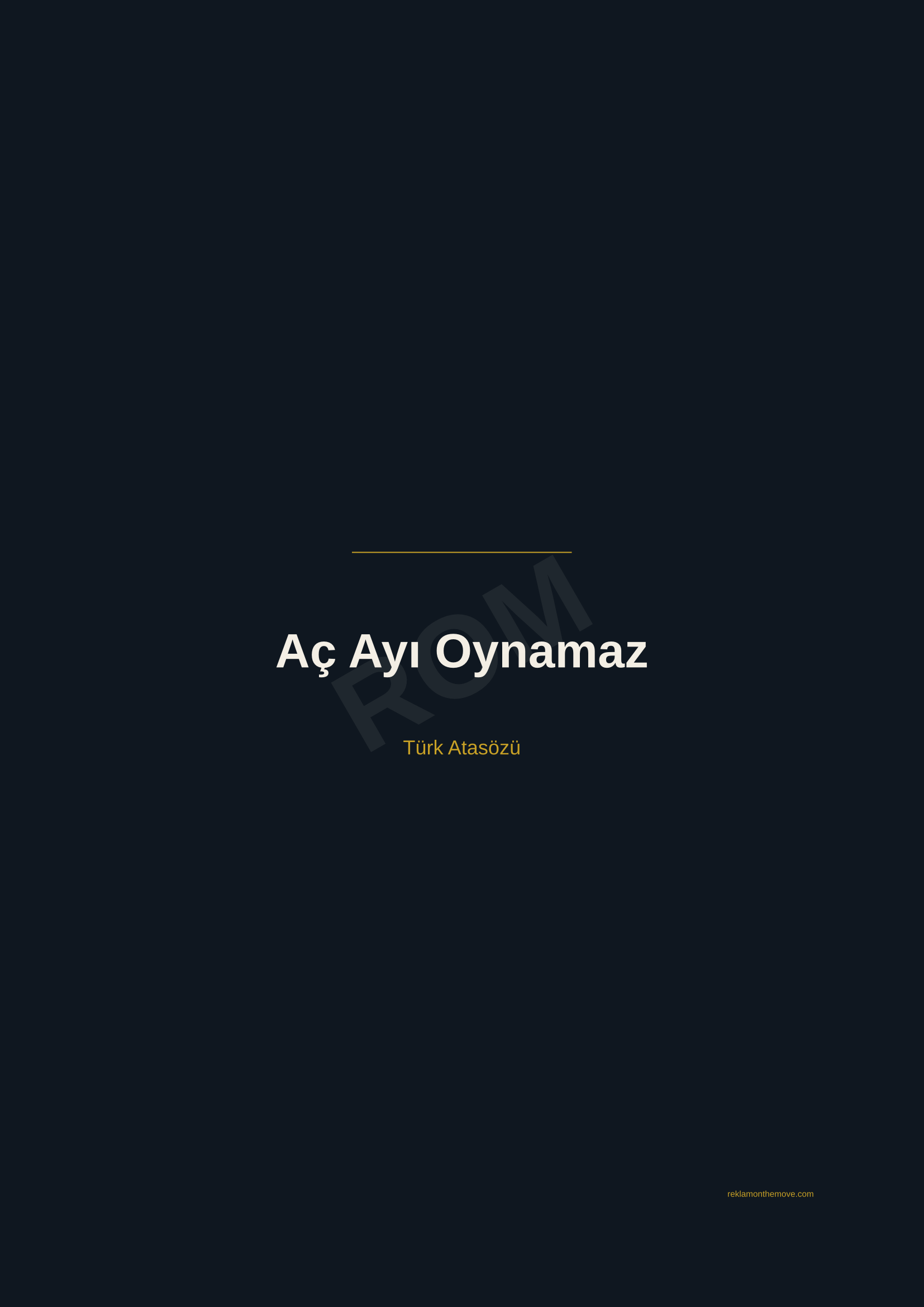 Aç Ayı Oynamaz · Gece · A2 — ROM dijital ürün önizlemesi (filigranlı)
