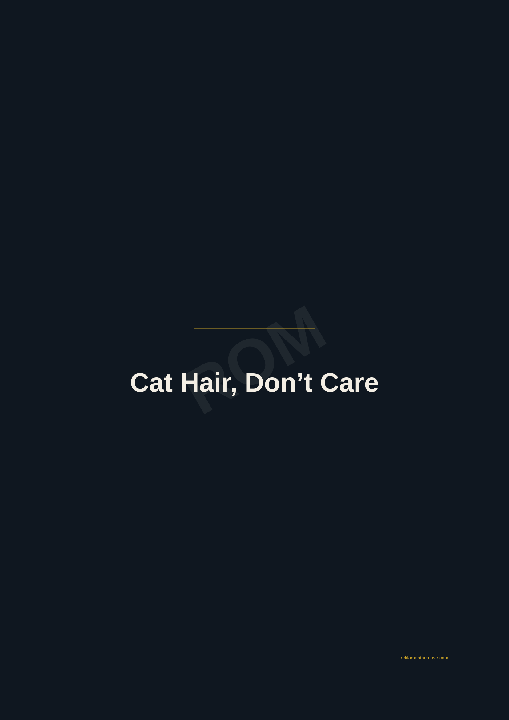 Cat Hair, Don't Care · Gece — ROM dijital ürün önizlemesi (filigranlı)