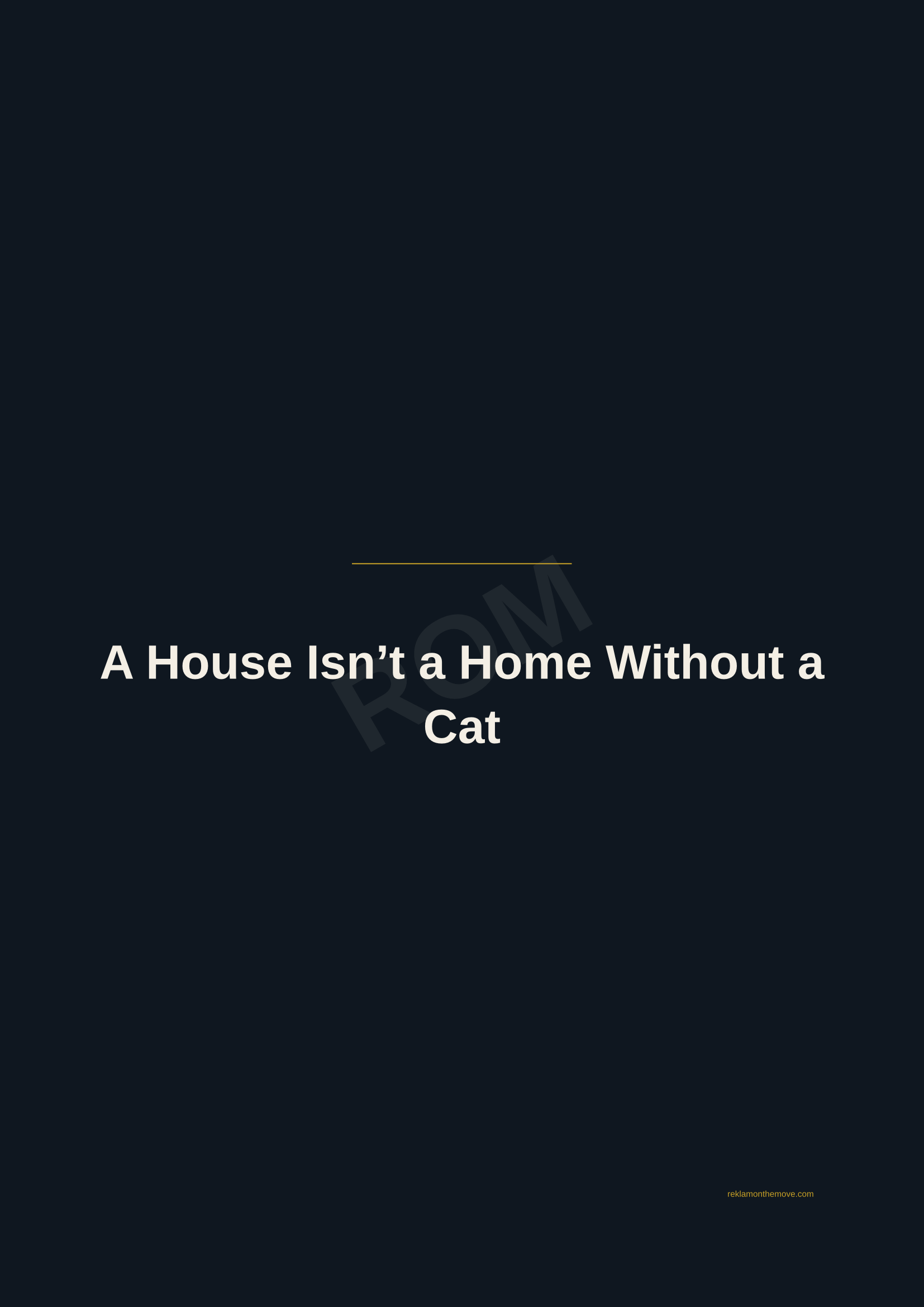 A House Isn't a Home Without a Cat · Gece — ROM dijital ürün önizlemesi (filigranlı)