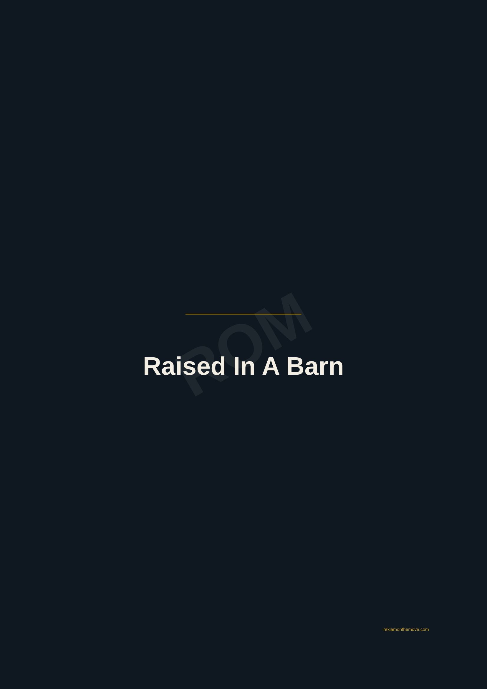 Raised In A Barn · Gece — ROM dijital ürün önizlemesi (filigranlı)