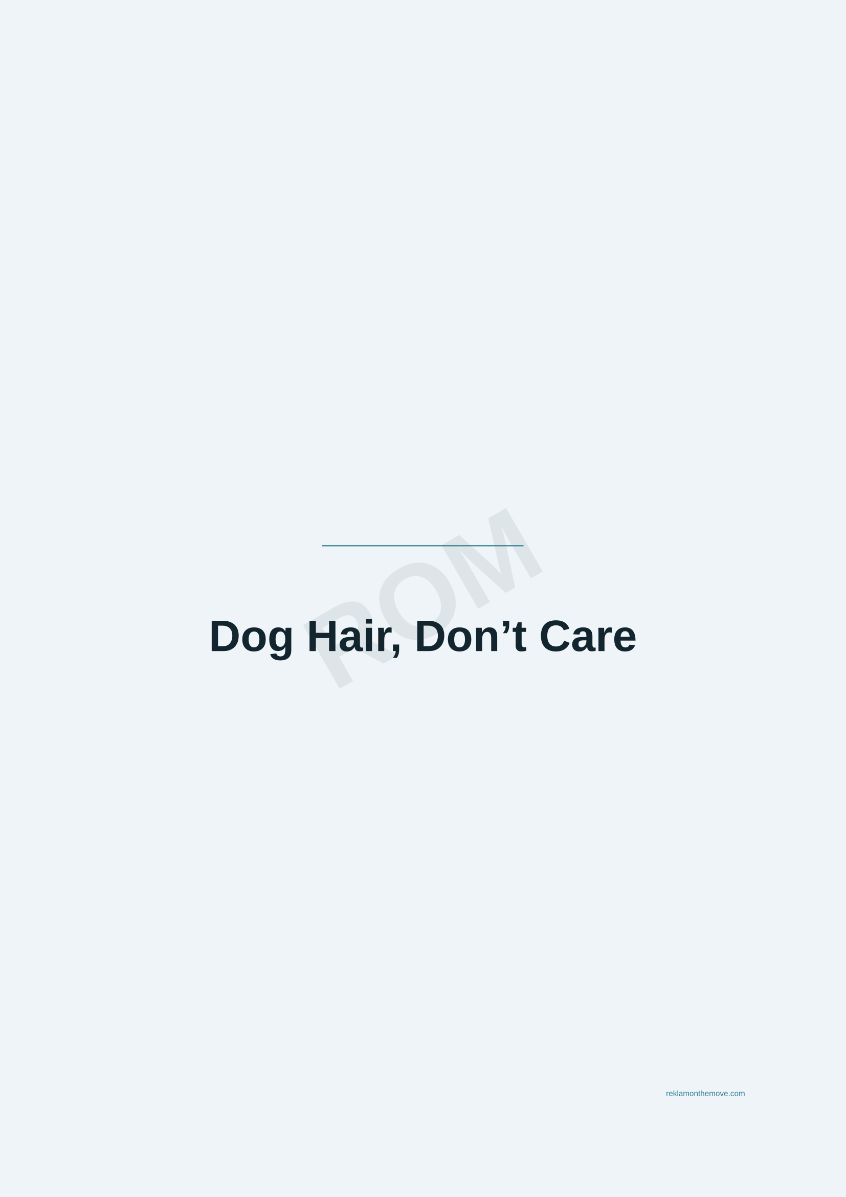 Dog Hair, Don't Care · Okyanus — ROM dijital ürün önizlemesi (filigranlı)