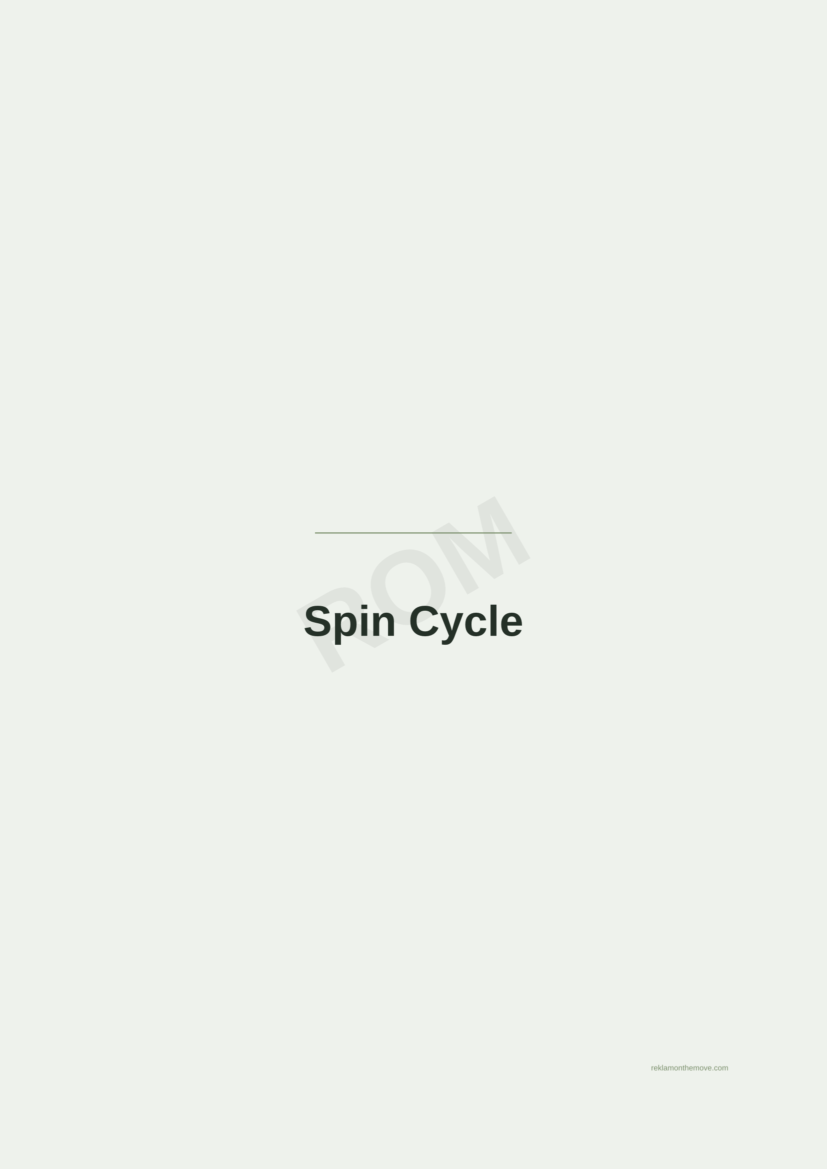 Spin Cycle · Adaçayı — ROM dijital ürün önizlemesi (filigranlı)