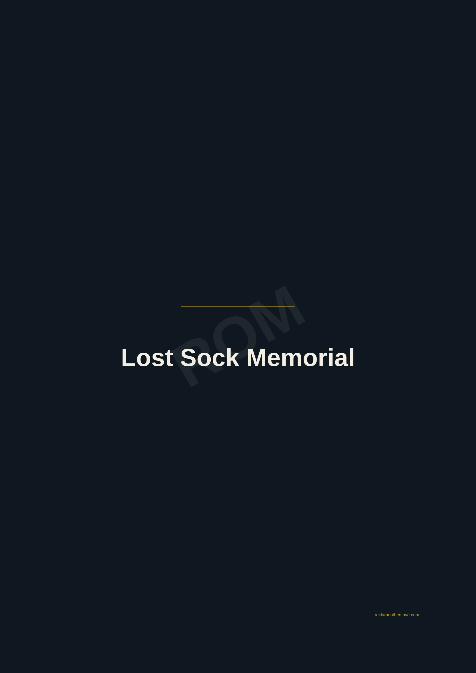 Lost Sock Memorial · Gece — ROM dijital ürün önizlemesi (filigranlı)